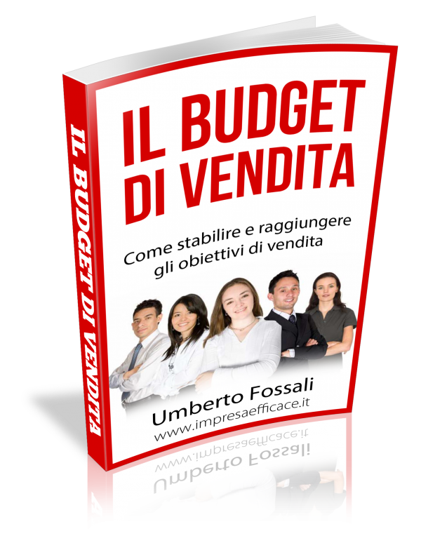 Il budget di vendita